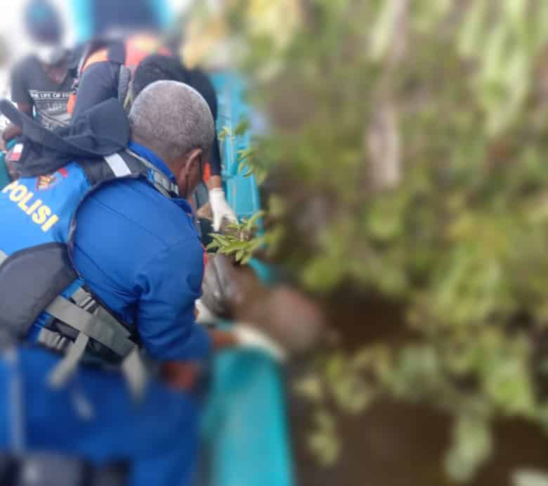 Meninggal