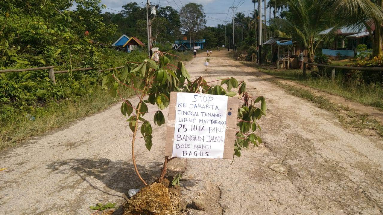 Tanam pohon pisang