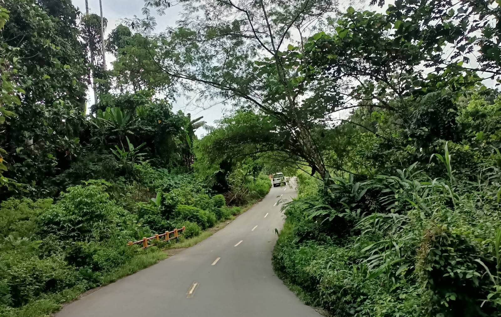 Pinggiran jalan nabire - paniai