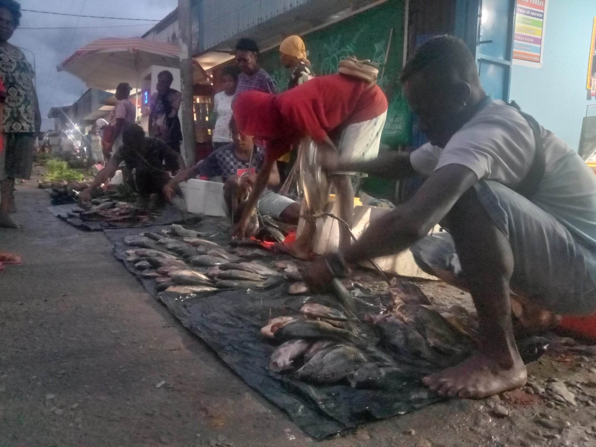 Tailing, PT Freeport Indonesia, Pendulang, Kamoro, Sempan