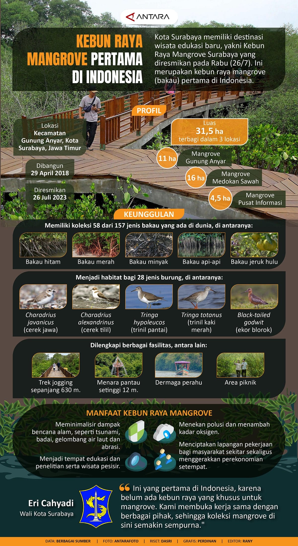 Mangrove