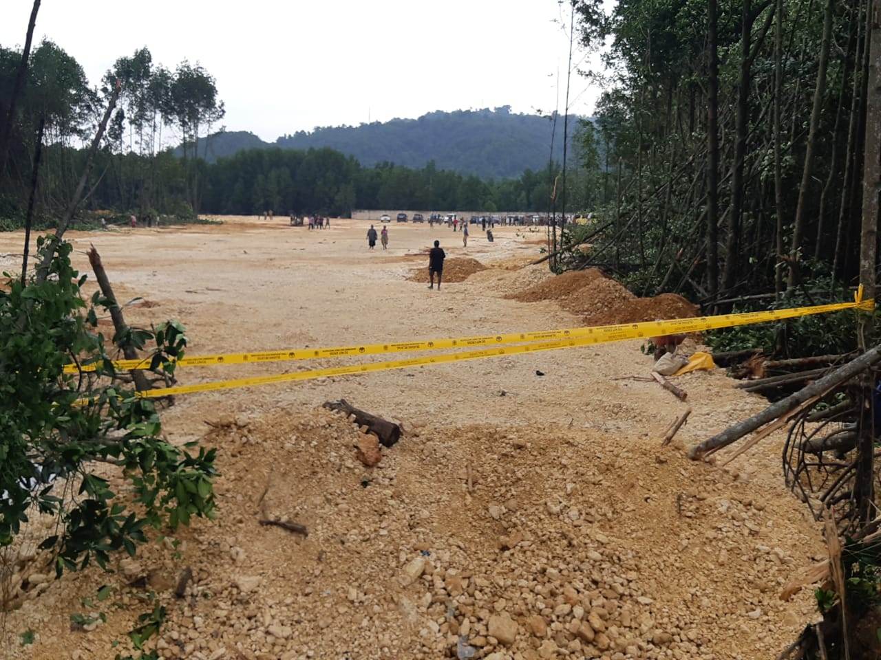 hutan bakau