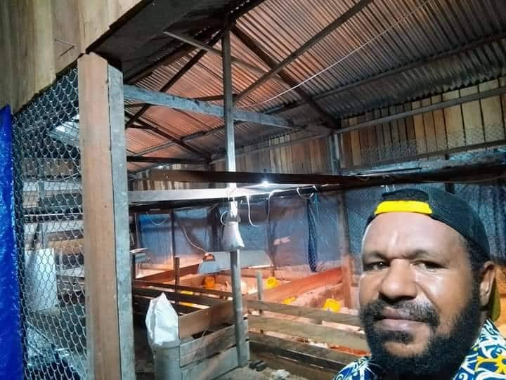 ayam
