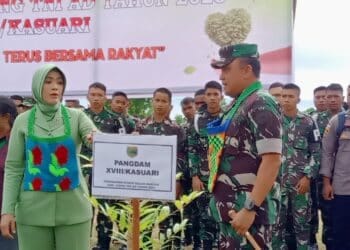 Hari Juang TNI