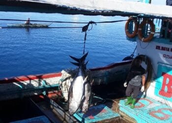 Biak