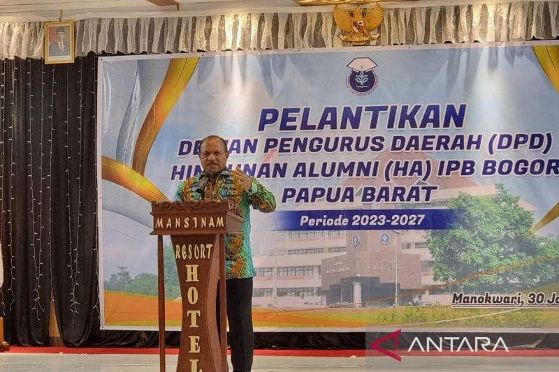 IPB