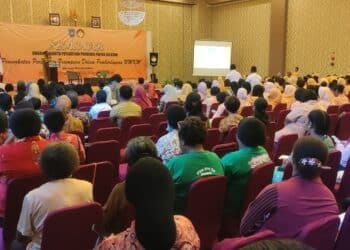 Pj Gubernur Papua Selatan Apolo Safanpo