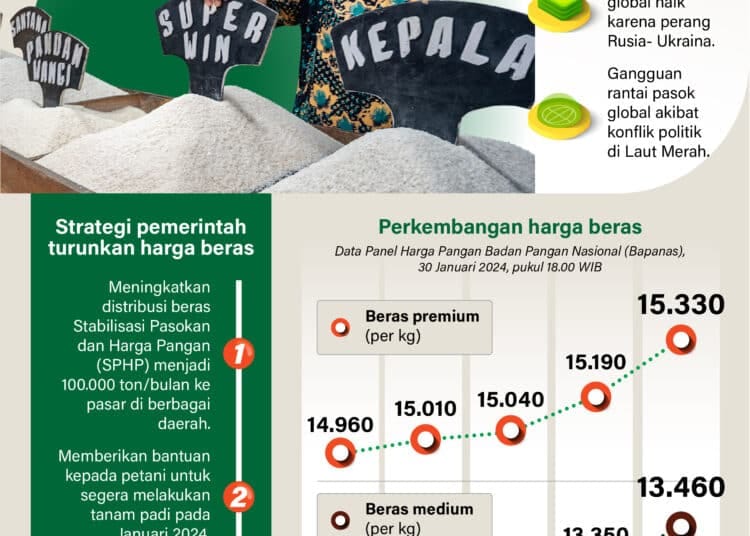 harga beras