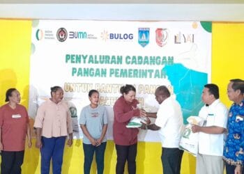Cadangan pangan merauke