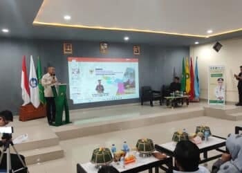 Papua Pegunungan