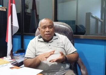 Kadishub Papua Selatan soal jembatan