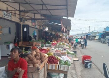 harga daging