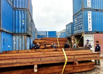 3.000 batang kayu merbau disita Lantamal X dan Satgas Gakkum KLHK di Kota Jayapura, Rabu (3/4/2024).- Jubi/Alexander Loen