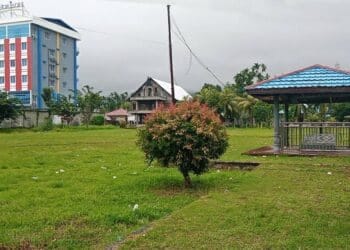 Theys