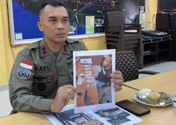 Satgas Damai Cartenz