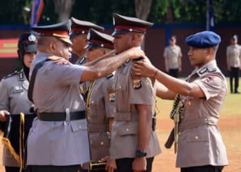 Bintara, Kebijakan Afirmasi