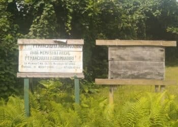 Plang nama perusahaan PT Mancaraya Group Mandiri - Jubi/Dok.Aman