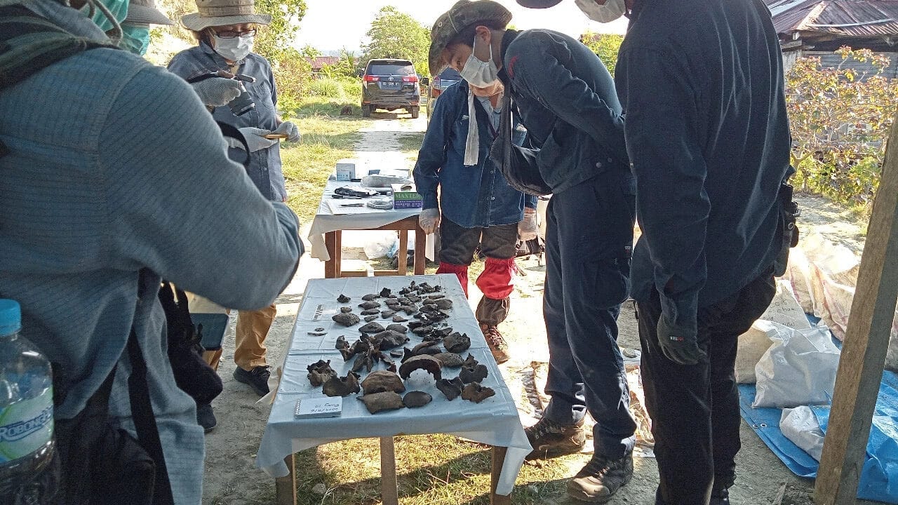 Tentara Jepang