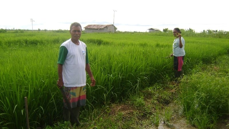 Merauke