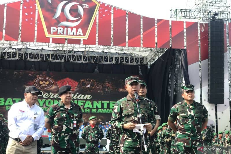 Panglima TNI