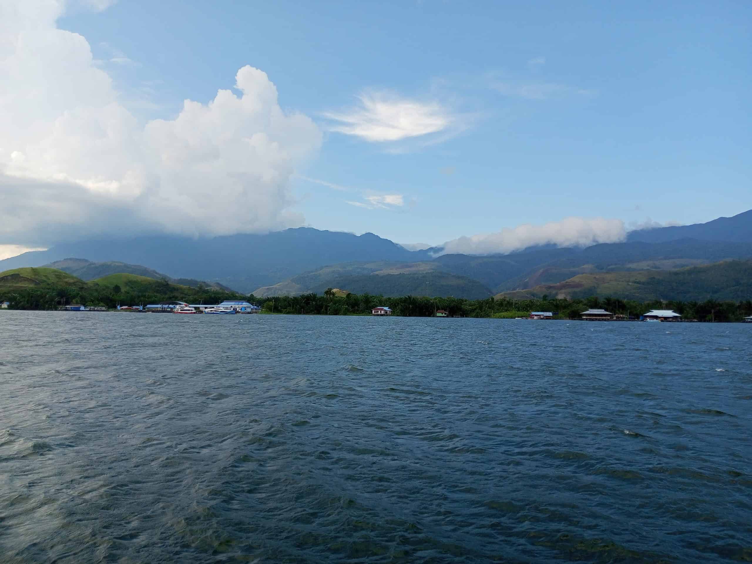 Dusun sagu Asei yang terletak di tepi Danau Sentani. -Jubi/Hans Makabori