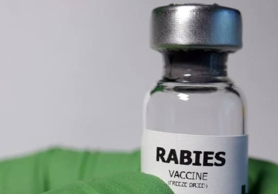 Rabies