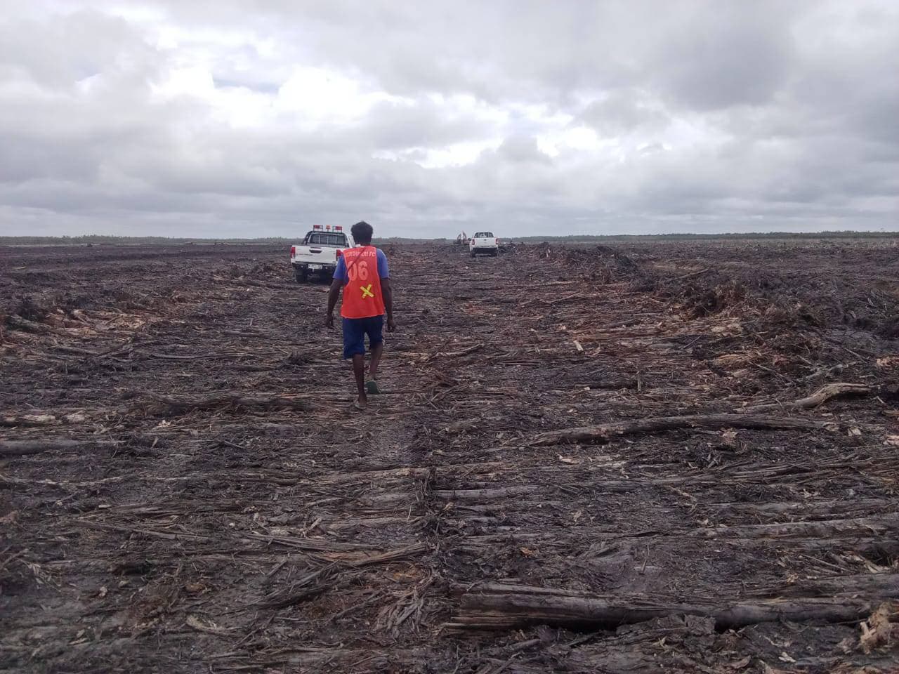 PSN Sawah 1 Juta Hektare di Merauke