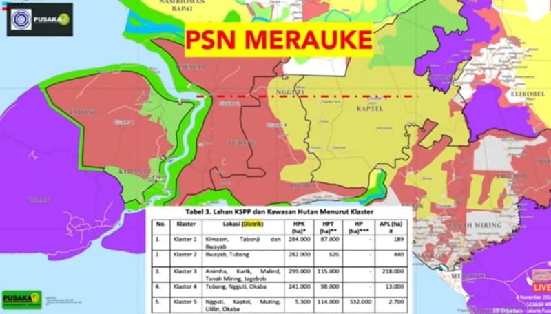Peta kawasan PSN Merauke yang dipaparkan dalam seminar bertajuk “PSN Merauke: Dampaknya pada Masyarakat Adat dan Alam Papua” di Jakarta. - Tangkapan layar youtube Jakartanicus