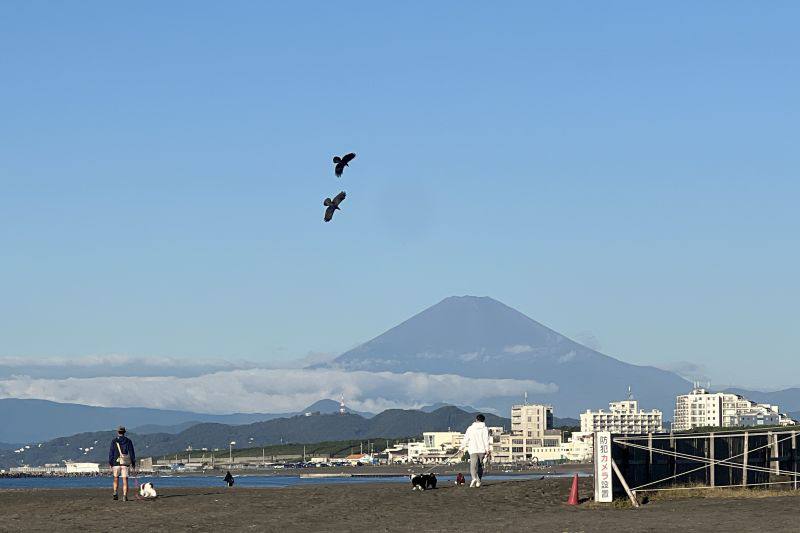 Gunung Fuji
