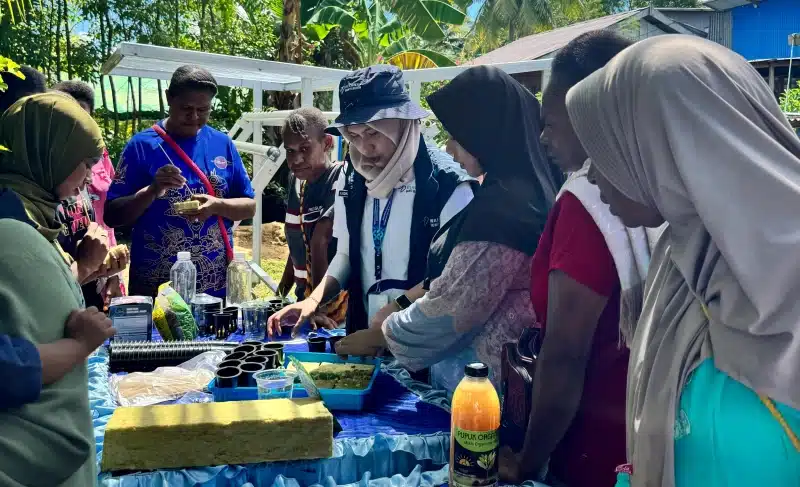 Bersama dengan 15 relawan dari berbagai perusahaan BUMN, Pertamina menggelar pelatihan hidroponik bagi masyarakat lokal di Merauke, Provinsi Papua Selatan.