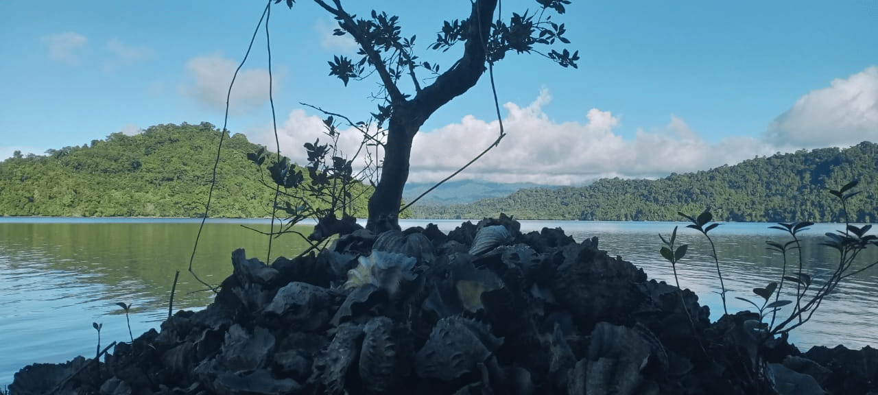 Keanekaragaman Hayati