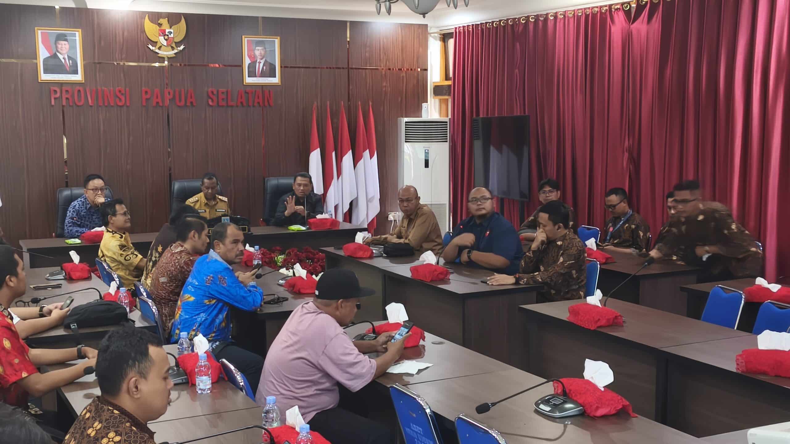Gubernur Papua Selatan,