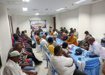 aksesori mahkota cenderawasih