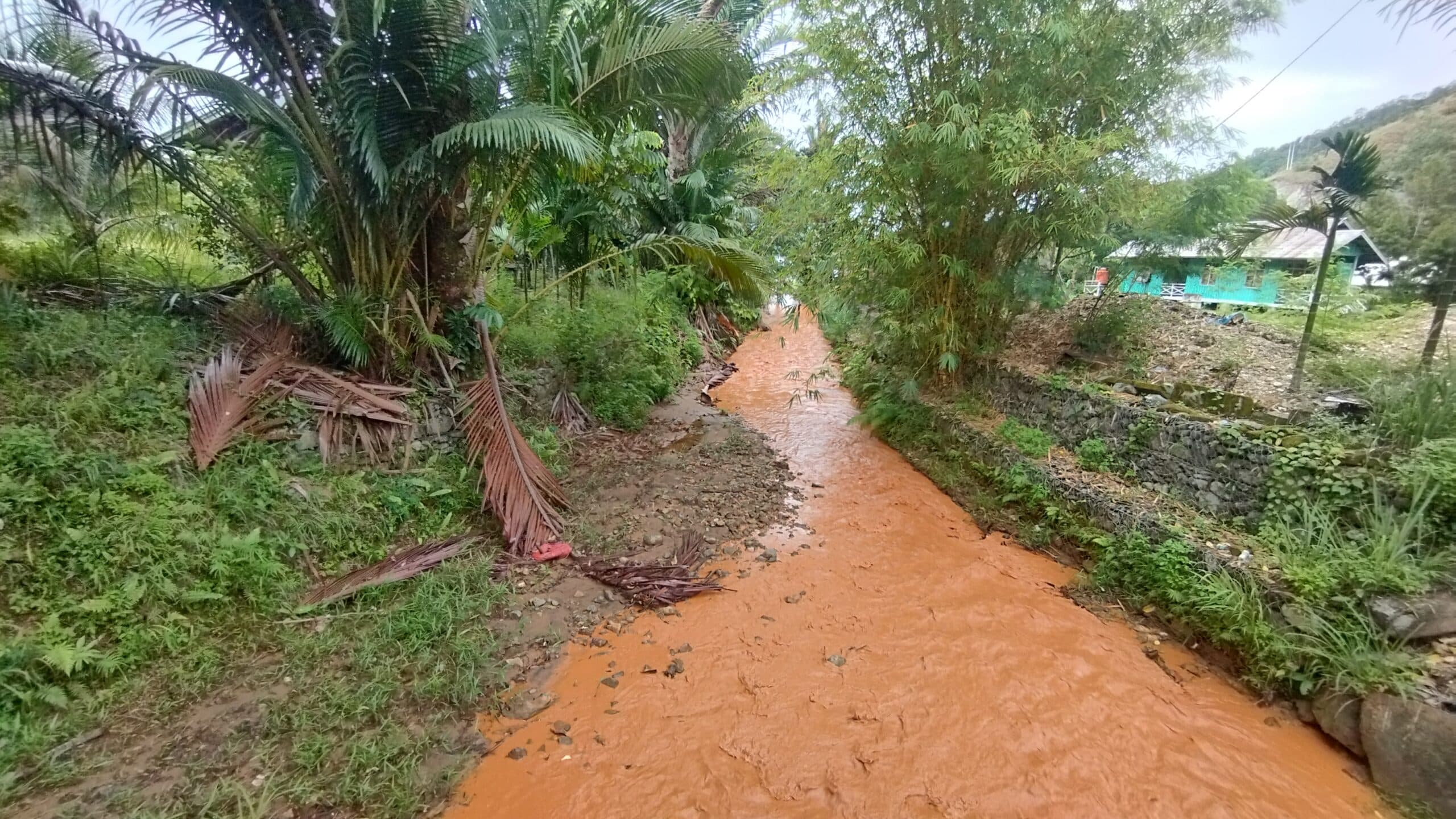 Danau Sentani