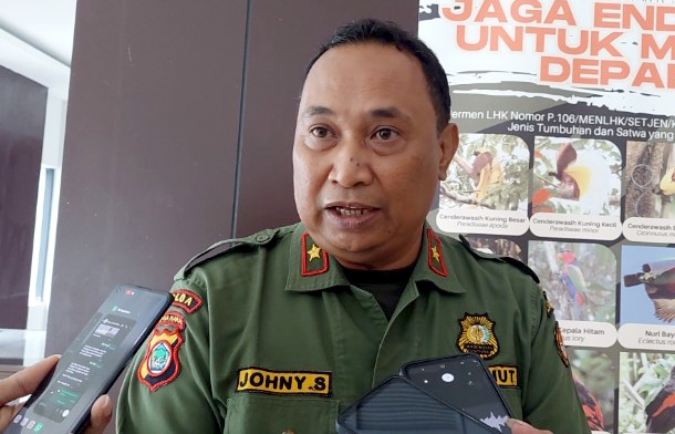 Satwa BKSDA Papua