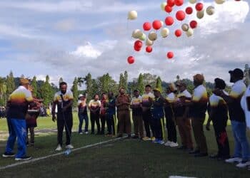 Papua Tengah