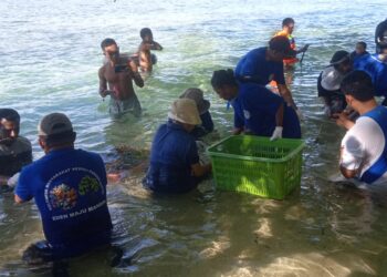 PKB GKI Eden, Teladan Gereja dalam Pelestarian Lingkungan Laut