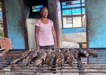 ikan asar