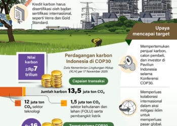 COP30