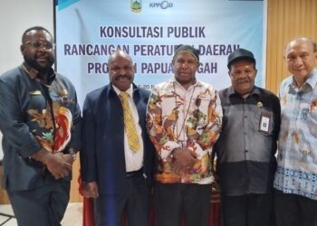 konsultasi publik