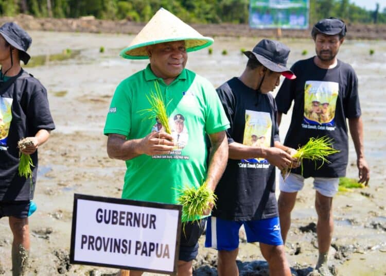 Gubernur Papua