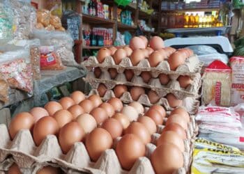 telur
