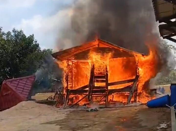 dibakar