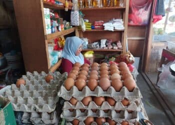 Telur