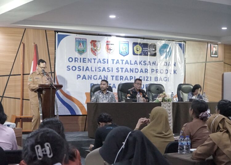 Papua Selatan