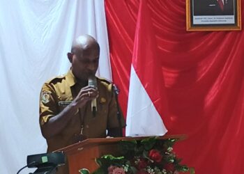 Papua Tengah