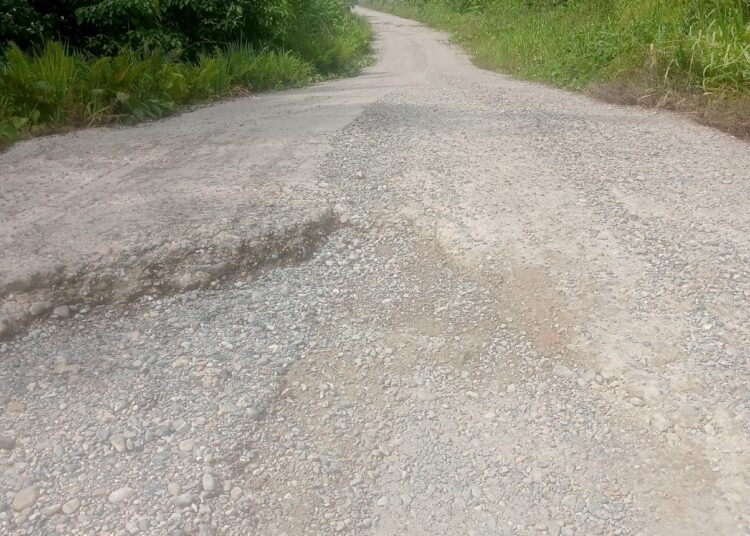 Jalan Mogoy-Merdey hingga saat ini dalam kondisi rusak berat - Jubi/IST